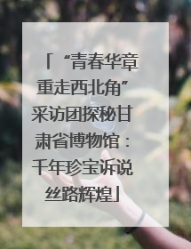 “青春华章重走西北角”采访团探秘甘肃省博物馆：千年珍宝诉说丝路辉煌