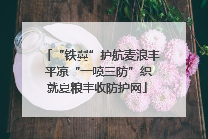 “铁翼”护航麦浪丰 平凉“一喷三防”织就夏粮丰收防护网