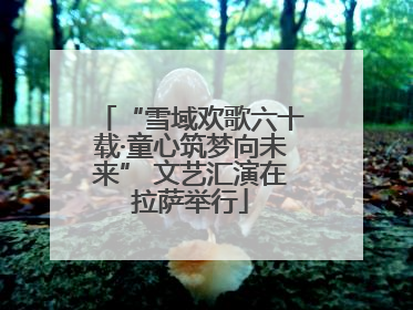 “雪域欢歌六十载·童心筑梦向未来” 文艺汇演在拉萨举行