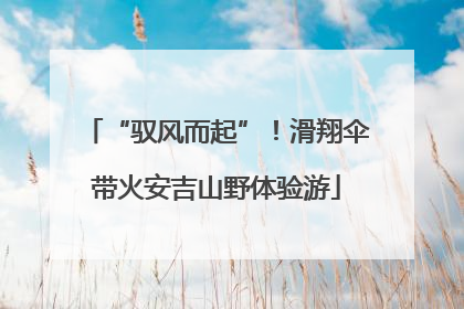 “驭风而起”！滑翔伞带火安吉山野体验游