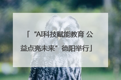 “AI科技赋能教育 公益点亮未来”德阳举行