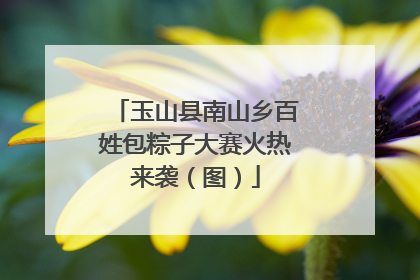 玉山县南山乡百姓包粽子大赛火热来袭（图）