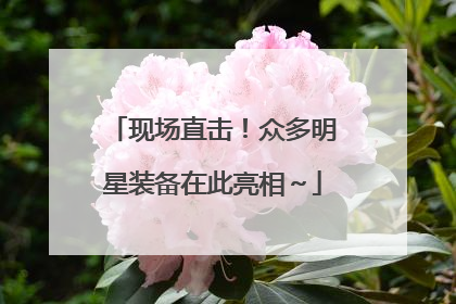 现场直击！众多明星装备在此亮相～