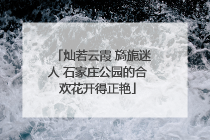 灿若云霞 旖旎迷人 石家庄公园的合欢花开得正艳