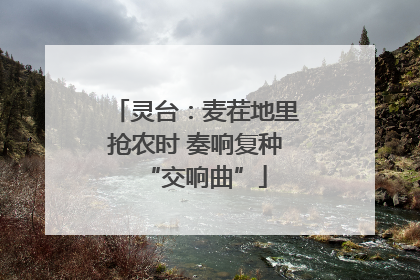 灵台：麦茬地里抢农时 奏响复种“交响曲”