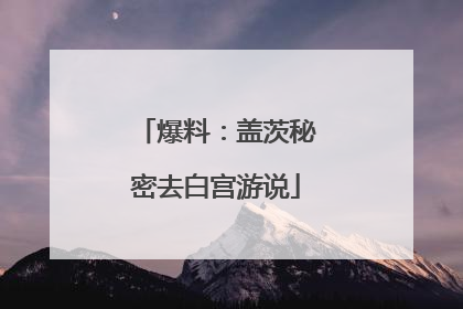 爆料：盖茨秘密去白宫游说