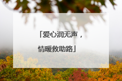 爱心润无声，情暖救助路
