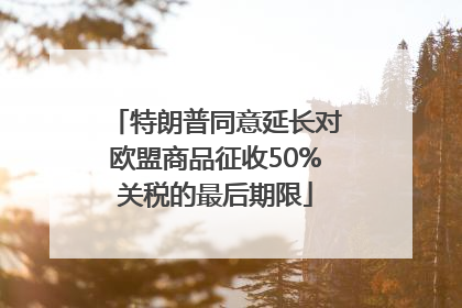 特朗普同意延长对欧盟商品征收50%关税的最后期限