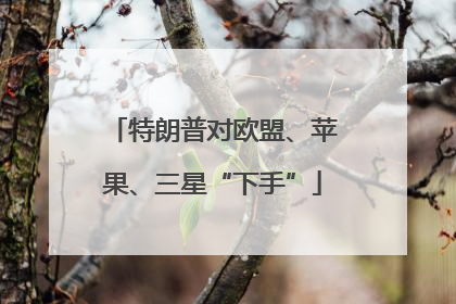 特朗普对欧盟、苹果、三星“下手”