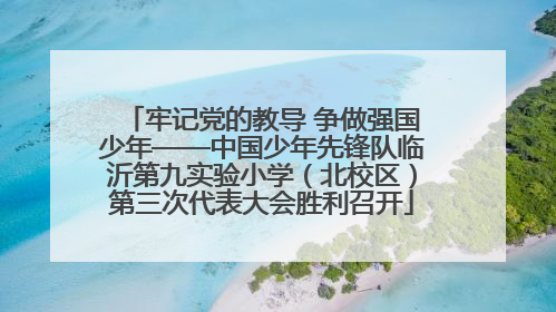 牢记党的教导 争做强国少年——中国少年先锋队临沂第九实验小学（北校区）第三次代表大会胜利召开