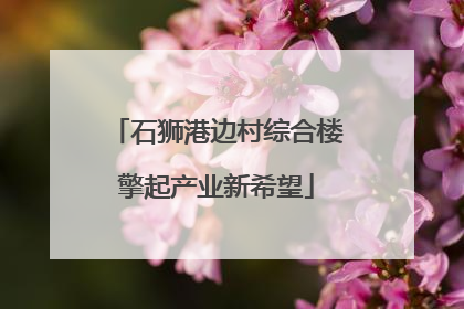 石狮港边村综合楼擎起产业新希望