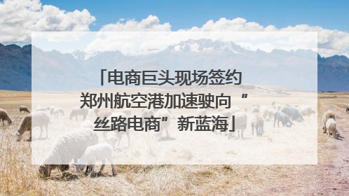 电商巨头现场签约 郑州航空港加速驶向“丝路电商”新蓝海