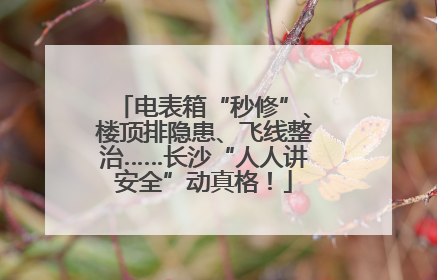 电表箱“秒修”、楼顶排隐患、飞线整治……长沙“人人讲安全”动真格！