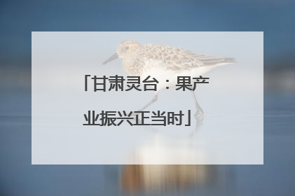 甘肃灵台：果产业振兴正当时