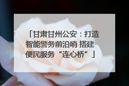甘肃甘州公安：打造智能警务前沿哨 搭建便民服务“连心桥”