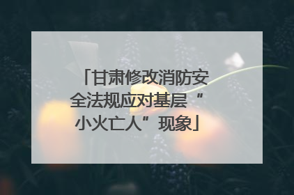 甘肃修改消防安全法规应对基层“小火亡人”现象