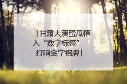 甘肃大漠蜜瓜植入“数字标签” 打响金字招牌