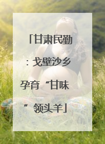 甘肃民勤：戈壁沙乡孕育“甘味”领头羊