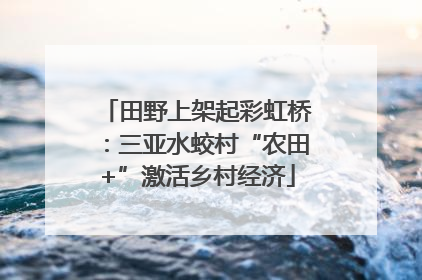 田野上架起彩虹桥：三亚水蛟村“农田+”激活乡村经济