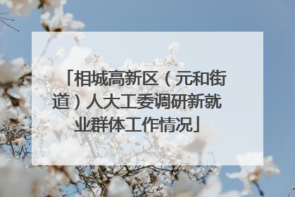 相城高新区（元和街道）人大工委调研新就业群体工作情况