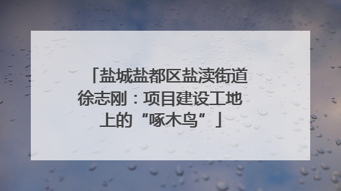 盐城盐都区盐渎街道徐志刚：项目建设工地上的“啄木鸟”