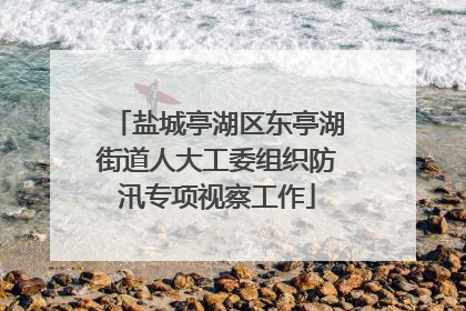 盐城亭湖区东亭湖街道人大工委组织防汛专项视察工作