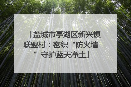 盐城市亭湖区新兴镇联盟村：密织“防火墙”守护蓝天净土