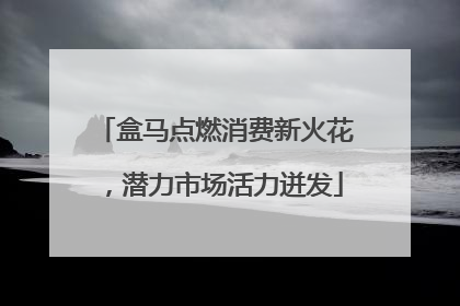 盒马点燃消费新火花，潜力市场活力迸发