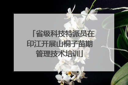 省级科技特派员在印江开展山桐子苗期管理技术培训