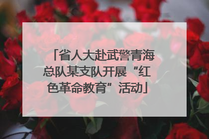 省人大赴武警青海总队某支队开展“红色革命教育”活动