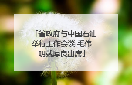 省政府与中国石油举行工作会谈 毛伟明戴厚良出席