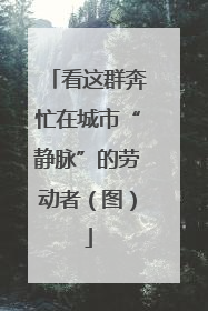 看这群奔忙在城市“静脉”的劳动者（图）