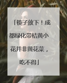 筷子放下！成都绿化带桔黄小花并非黄花菜，吃不得