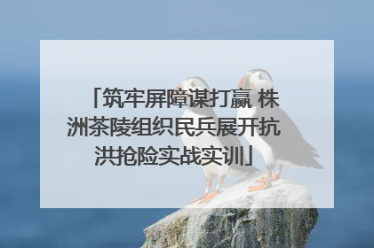 筑牢屏障谋打赢 株洲茶陵组织民兵展开抗洪抢险实战实训