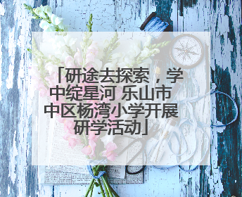 研途去探索，学中绽星河 乐山市中区杨湾小学开展研学活动