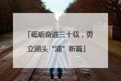 砥砺奋进三十载，勇立潮头“浦”新篇