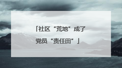 社区“荒地”成了党员“责任田”