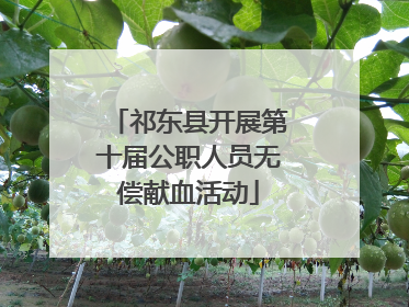 祁东县开展第十届公职人员无偿献血活动
