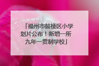 福州市鼓楼区小学划片公布！新增一所九年一贯制学校