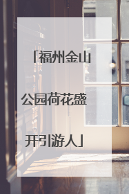 福州金山公园荷花盛开引游人