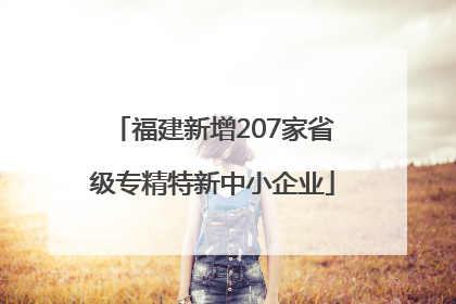 福建新增207家省级专精特新中小企业
