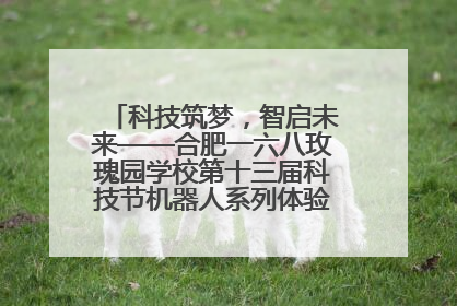 科技筑梦，智启未来——合肥一六八玫瑰园学校第十三届科技节机器人系列体验赛燃动校园