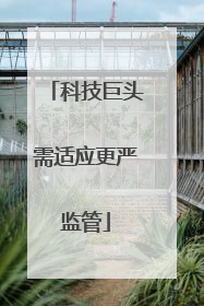 科技巨头需适应更严监管