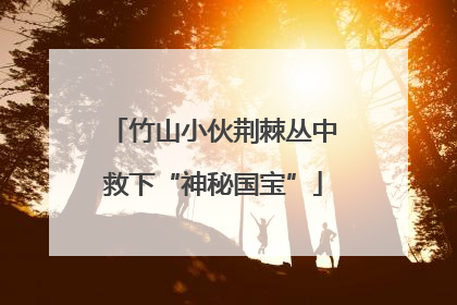 竹山小伙荆棘丛中救下“神秘国宝”