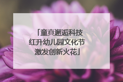 童真邂逅科技 红升幼儿园文化节激发创新火花
