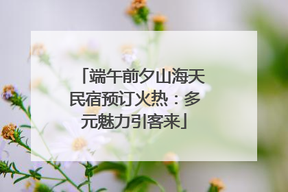 端午前夕山海天民宿预订火热：多元魅力引客来