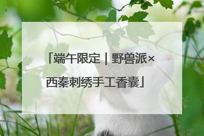 端午限定｜野兽派×西秦刺绣手工香囊