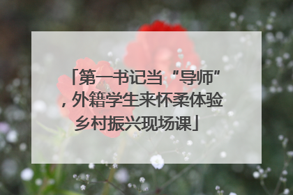 第一书记当“导师”，外籍学生来怀柔体验乡村振兴现场课