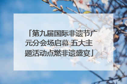 第九届国际非遗节广元分会场启幕 五大主题活动点燃非遗盛宴
