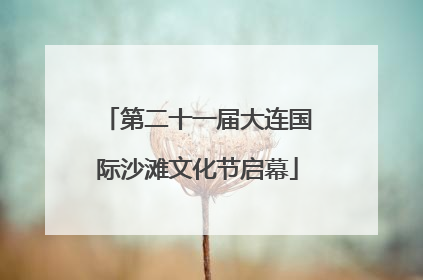 第二十一届大连国际沙滩文化节启幕